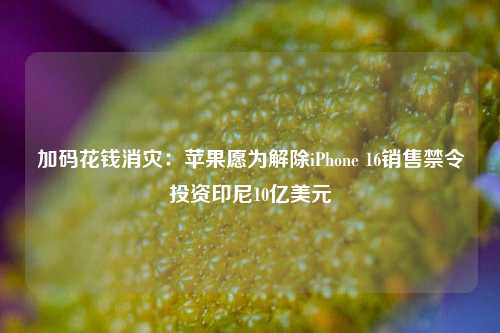 加码花钱消灾：苹果愿为解除iPhone 16销售禁令投资印尼10亿美元