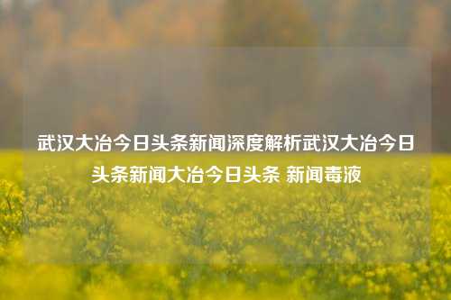 武汉大冶今日头条新闻深度解析武汉大冶今日头条新闻大冶今日头条 新闻毒液