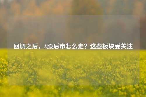 回调之后，A股后市怎么走？这些板块受关注