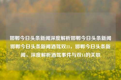 邯郸今日头条新闻深度解析邯郸今日头条新闻邯郸今日头条新闻酒驾双11，邯郸今日头条新闻，深度解析酒驾事件与双11的关联，邯郸今日头条新闻深度解析，酒驾事件与双11的关联