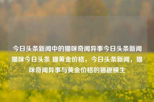 今日头条新闻中的猫咪奇闻异事今日头条新闻猫咪今日头条 猫黄金价格，今日头条新闻，猫咪奇闻异事与黄金价格的猫趣横生，今日头条新闻，猫咪奇闻异事与黄金价格的猫趣横生