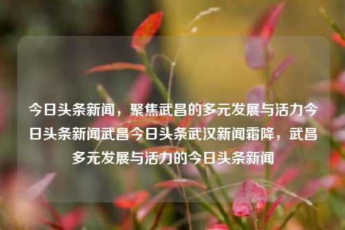 今日头条新闻，聚焦武昌的多元发展与活力今日头条新闻武昌今日头条武汉新闻霜降，武昌多元发展与活力的今日头条新闻，武昌今日多元发展与活力迸发的头条新闻