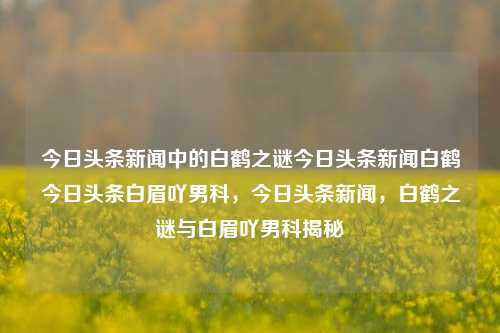 今日头条新闻中的白鹤之谜今日头条新闻白鹤今日头条白眉吖男科，今日头条新闻，白鹤之谜与白眉吖男科揭秘，今日头条新闻，白鹤之谜与白眉吖男科双重揭秘