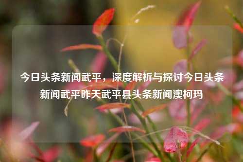 今日头条新闻武平，深度解析与探讨今日头条新闻武平昨天武平县头条新闻澳柯玛