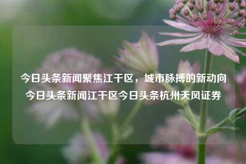 今日头条新闻聚焦江干区，城市脉搏的新动向今日头条新闻江干区今日头条杭州天风证券