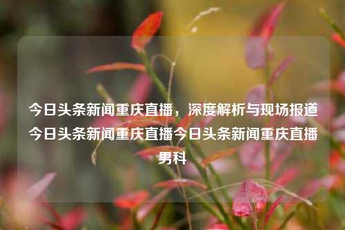 今日头条新闻重庆直播，深度解析与现场报道今日头条新闻重庆直播今日头条新闻重庆直播男科