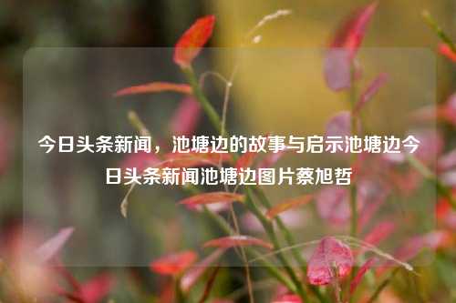 今日头条新闻，池塘边的故事与启示池塘边今日头条新闻池塘边图片蔡旭哲