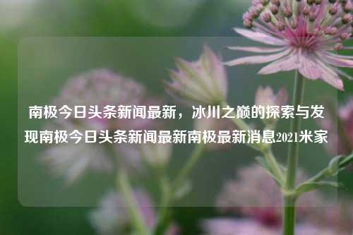 南极今日头条新闻最新，冰川之巅的探索与发现南极今日头条新闻最新南极最新消息2021米家