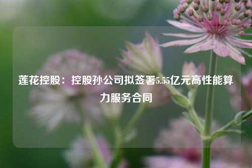 莲花控股：控股孙公司拟签署5.55亿元高性能算力服务合同