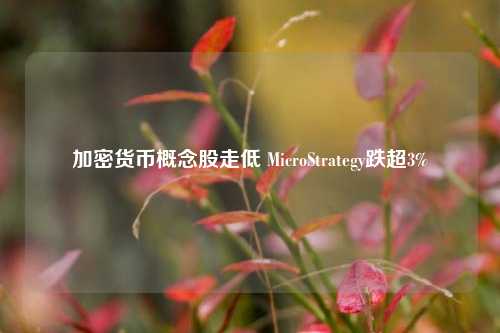 加密货币概念股走低 MicroStrategy跌超3%