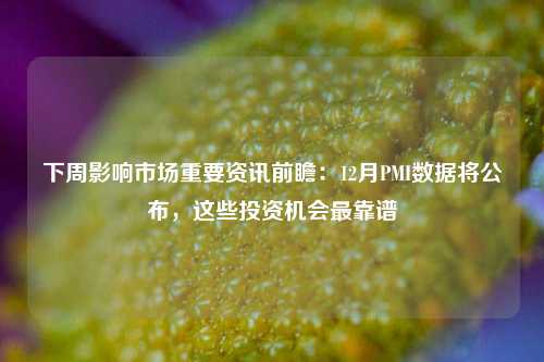 下周影响市场重要资讯前瞻：12月PMI数据将公布，这些投资机会最靠谱