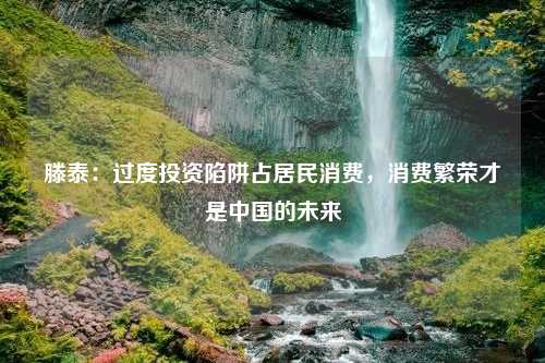 滕泰：过度投资陷阱占居民消费，消费繁荣才是中国的未来