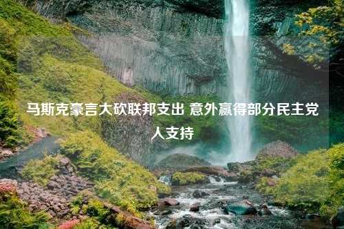 马斯克豪言大砍联邦支出 意外赢得部分民主党人支持