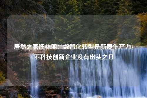 居然之家汪林朋：数智化转型是新质生产力，不科技创新企业没有出头之日