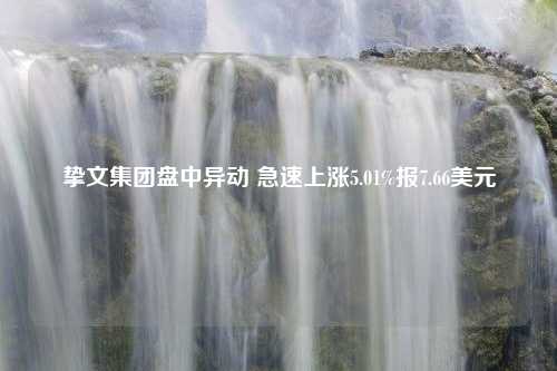 挚文集团盘中异动 急速上涨5.01%报7.66美元