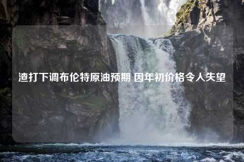 渣打下调布伦特原油预期 因年初价格令人失望