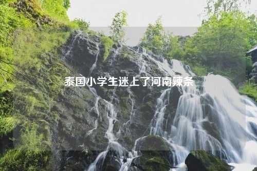 泰国小学生迷上了河南辣条
