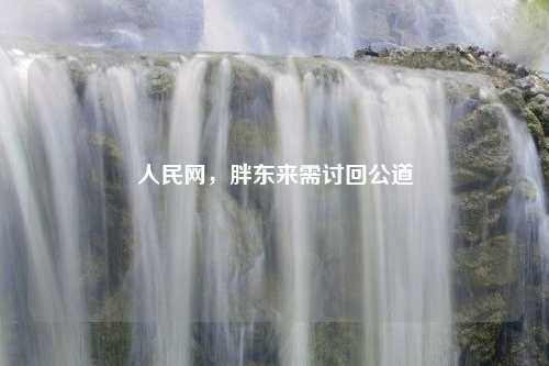 人民网，胖东来需讨回公道