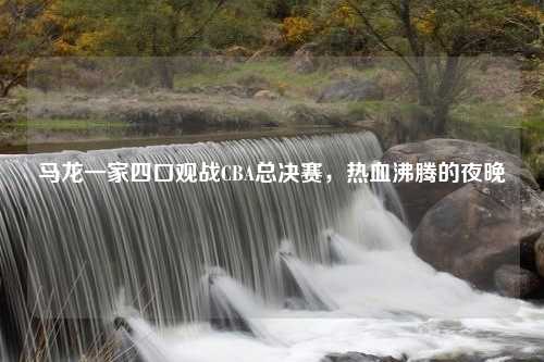 马龙一家四口观战CBA总决赛，热血沸腾的夜晚