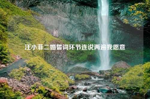 汪小菲二婚誓词环节连说两遍我愿意