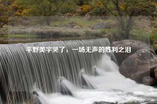 平野美宇哭了，一场无声的胜利之泪