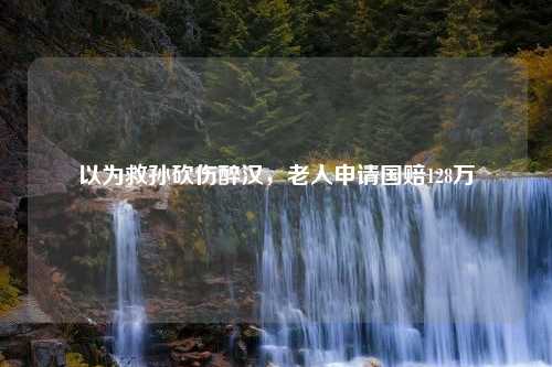 以为救孙砍伤醉汉，老人申请国赔128万