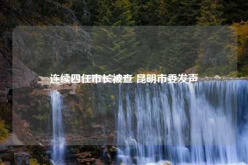 连续四任市长被查 昆明市委发声