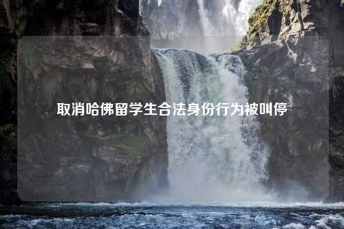 取消哈佛留学生合法身份行为被叫停