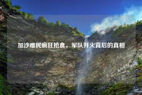 加沙难民疯狂抢食，军队开火背后的真相