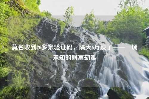 莫名收到20多条验证码，隔天6万没了——一场未知的财富劫难