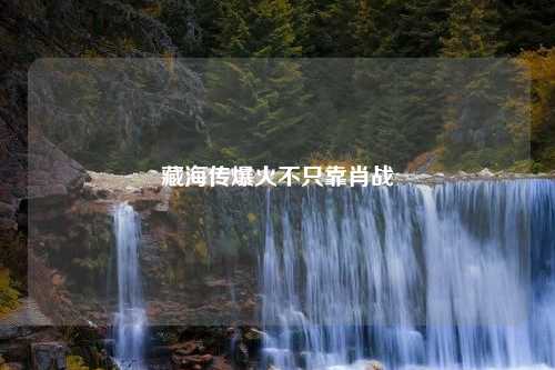 藏海传爆火不只靠肖战