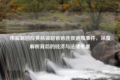 市监局回应黄杨钿甜爸爸连夜退股事件，深度解析背后的经济与法律考量