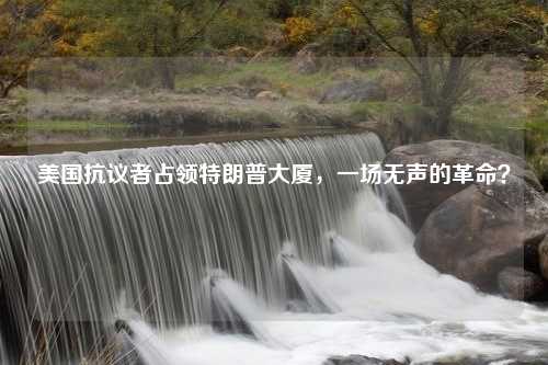 美国抗议者占领特朗普大厦，一场无声的革命？